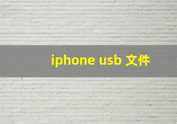 iphone usb 文件